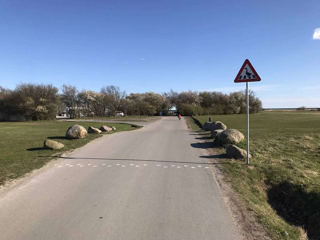 The goose pedestrian cross on the Amarminoen hiking route near Copenhagen, Denmark